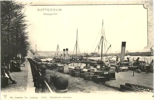Rotterdam - Maasgezicht -690480