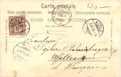 Souvenir des Alpes - Schweiz - Litho -691040