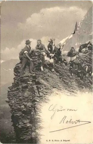 Schweiz - Bergsteigen - Ziegen -691048