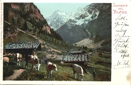 Souvenir des Alpes - Schweiz -691038