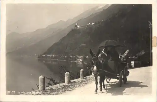 Schweiz Ticino - In via per la citta - Esel -691212