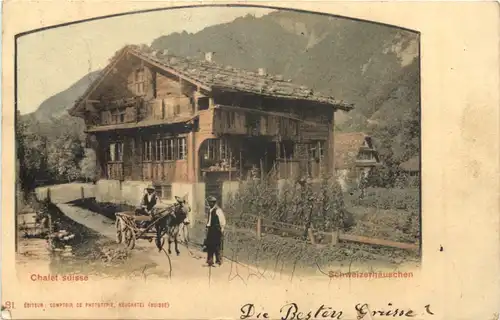 Schweizerhäuschen -691210
