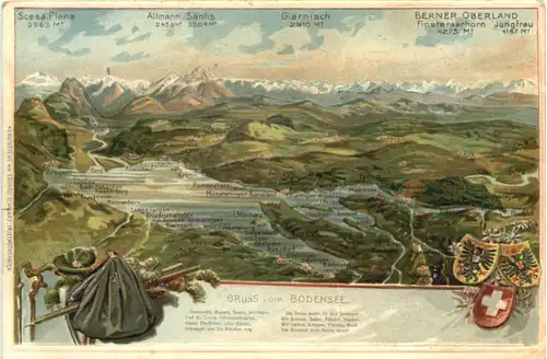 Gruss vom Bodensee - Litho - Prägekarte -691122