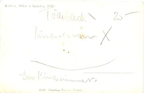 Feldis bei Faulenberg -691258