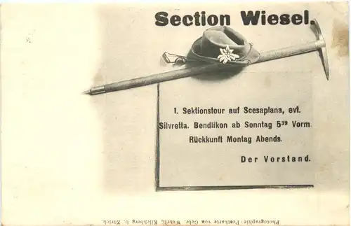 Section Wiesel - 1. Sektionstour auf Scesaplana -691272