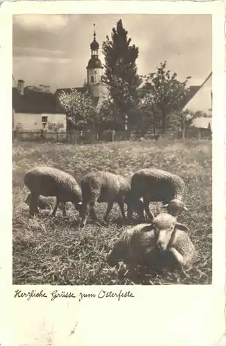 Ostern - Schafe -691480