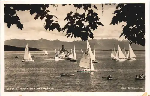 Starnberger See, Leben und Treiben -549342