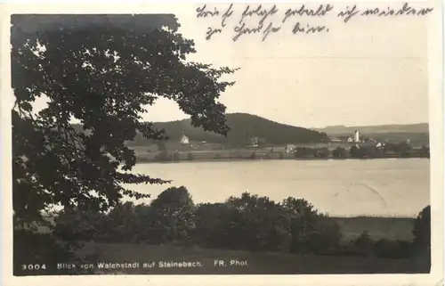 am Wörthsee, Blick von Walchstadt auf Steinebach -550338