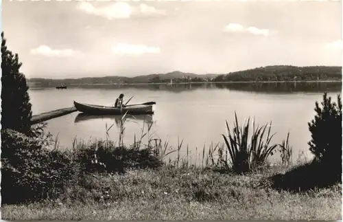 Morgen am Wörthsee, -550386