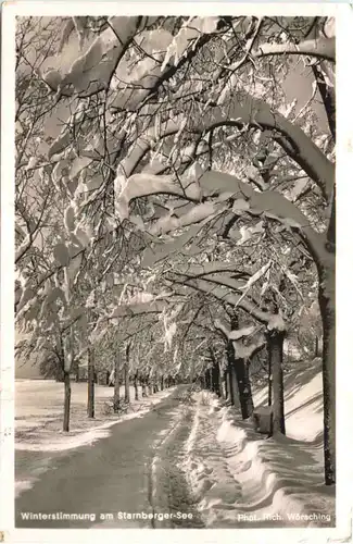 Am Starnberger See, Winterstimmung -550632