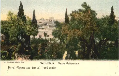 Jerusalem - Garten Gethsemane - Württ. Pilgerfahrt 1904 -692108
