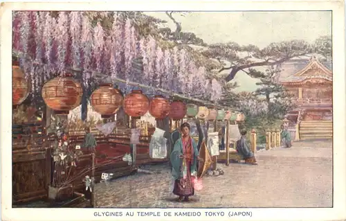 Japan - Glycines au Temple de Kameido Tokyo -692018