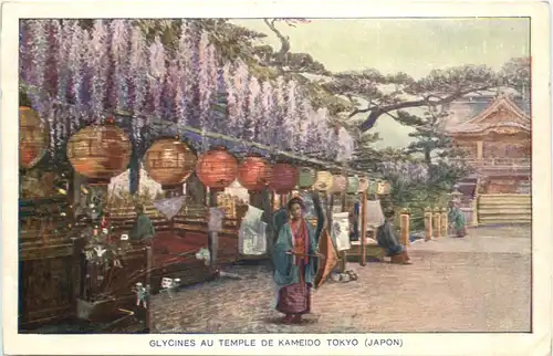 Japan - Glycines au Temple de Kameido Tokyo -692016