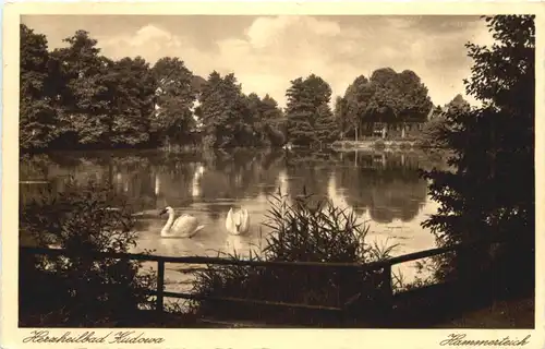 Bad Kudowa - Hammerteich -692184