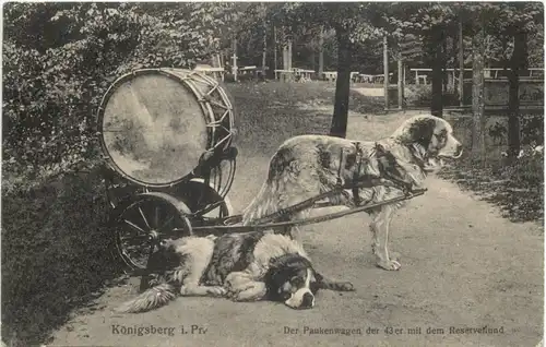 Königsberg - Der Paukenwagen der 43er mit dem Reserevehund -692508