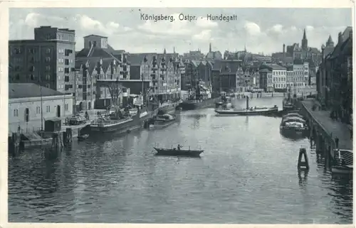 Königsberg - Hundegatt -693456