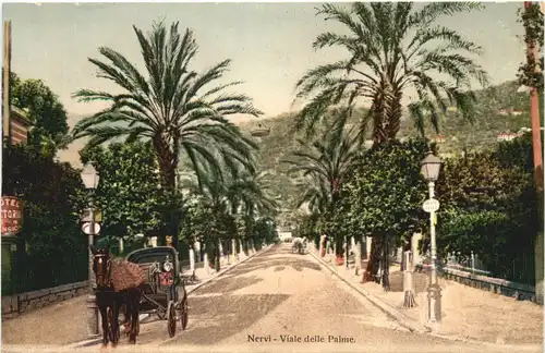 Nervi - Viale delle Palme -694478