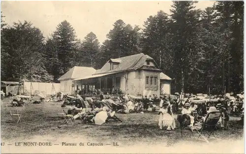 Le Mont Dore - Plateau du Capucin -694448