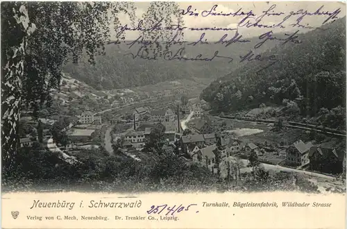 Neuenbürg im Schwarzwald -694738