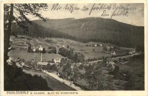 Enzklösterle bei Wildbad -694792
