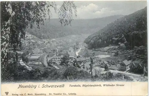Neuenbürg im Schwarzwald -694812