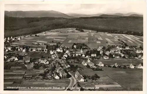 Dobel vom Flugzeug -694870