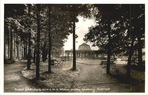 Schömberg bei Wildbad -695050