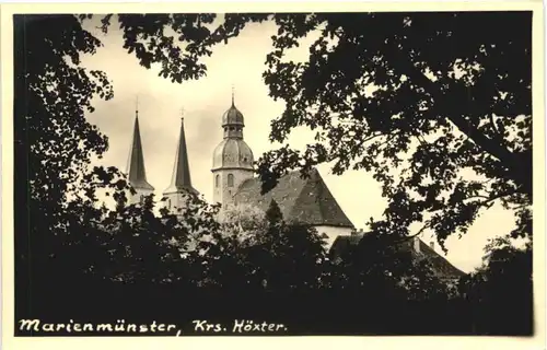 Marienmünster -695378