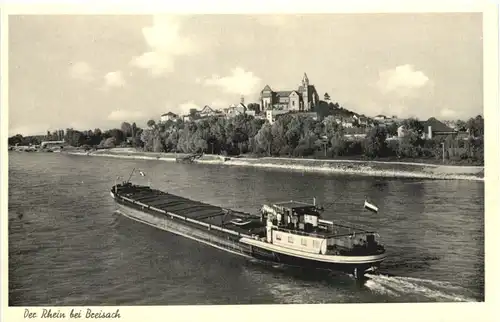 Der Rhein bei Breisach -695344