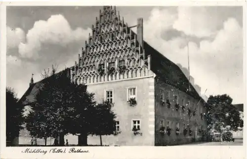 Mühlberg Elbe - Rathaus -695428