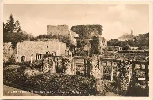 Meissen, Die Ruine des Klosters zum Heiligen Kreuz -552408