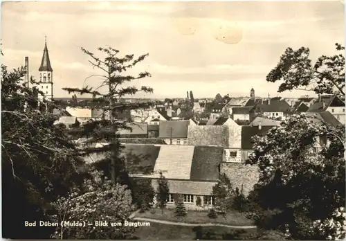 Bad Düben, Blick vom Burgturm -552294