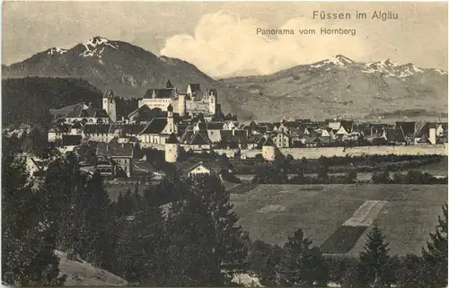 Füssen a. Lech, Panorama vom Hornberg -552492