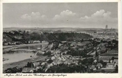 Meissen, Blick aus den Weinbergen -552482