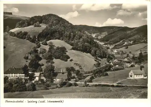 Spielweg Südl. Schwarzwald, Obermünstertal -553334