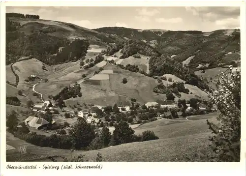 Spielweg Südl. Schwarzwald, Obermünstertal -553332