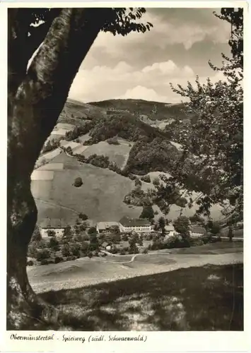 Spielweg Südl. Schwarzwald, Obermünstertal -553330