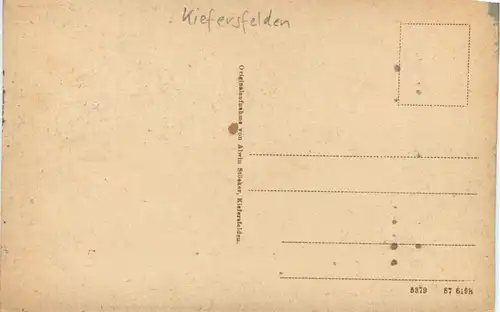 Blick v. Messnerwirt geg. d. Naunspitze, Kiefersfelden -553540