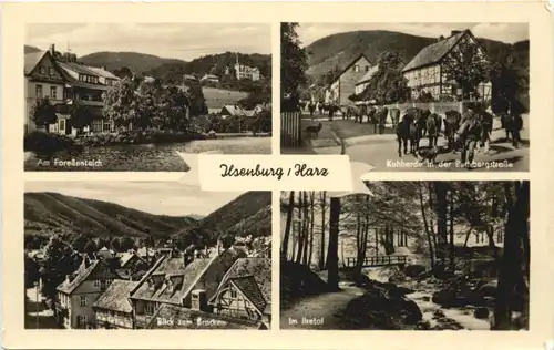 Ilsenburg Harz -695704