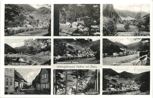 Sieber im Harz -695850