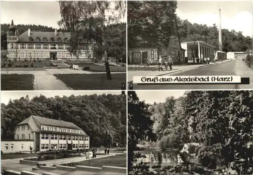 Gruss aus Alexisbad -696578