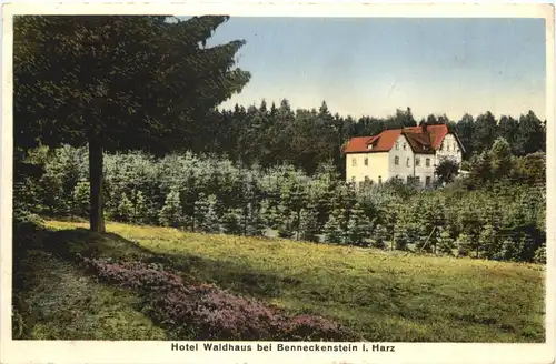 Hotel Waldhaus bei Benneckenstein -696512