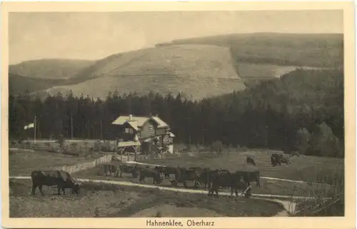 Hahnenklee - Oberharz -696586