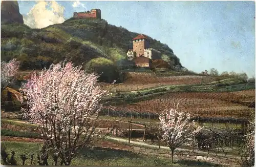 Obstblüte in Tirol -696822