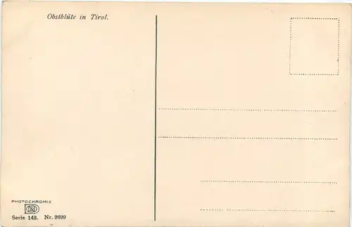 Obstblüte in Tirol -696822