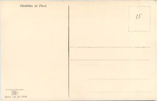 Obstblüte in Tirol -696824