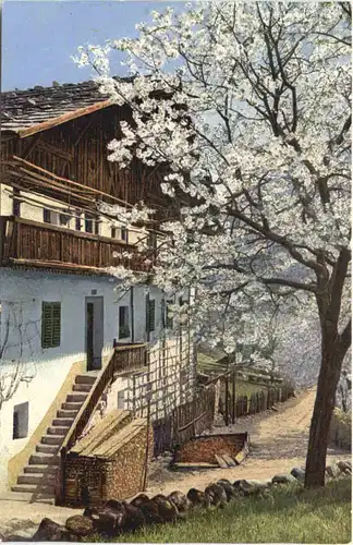 Obstblüte in Tirol -696816