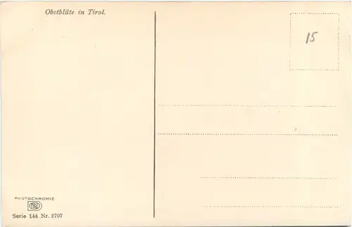 Obstblüte in Tirol -696816