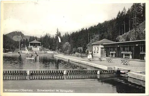 Wildemann Oberharz - Schwimmbad im Spiegeltal -696786