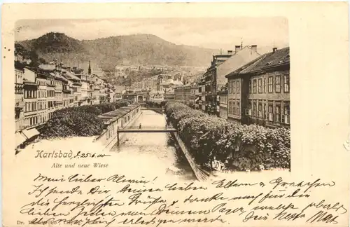 Karlsbad - Alte und neue Wiese -696894
